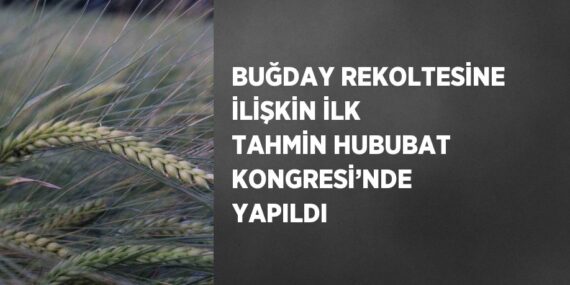 BUĞDAY REKOLTESİNE İLİŞKİN İLK TAHMİN HUBUBAT KONGRESİ’NDE YAPILDI