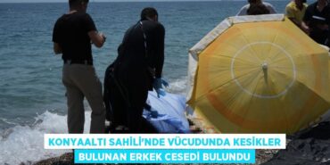 31366242602936325240tasarimli