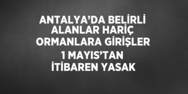 31368234082016920142tasarimli