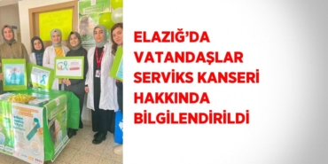 31370307642652725099