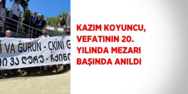 31371243032896520382