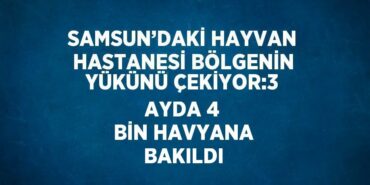 31373280152862022627tasarimli