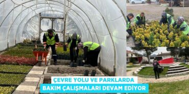 31374252912794320781tasarimli