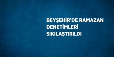 31377307112440127691