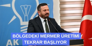 31378206612550331089