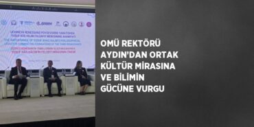 31379236502398723706