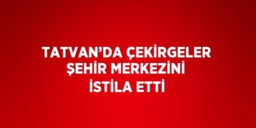 31380232372439122115tasarimli