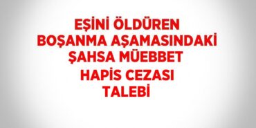 31381267522939028427tasarimli