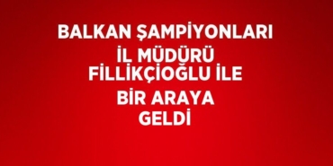 31382282932683421899tasarimli