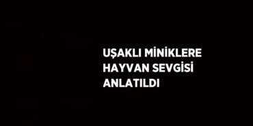 31383217703176621394