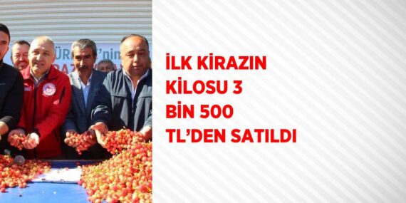 İLK KİRAZIN KİLOSU 3 BİN 500 TL’DEN SATILDI