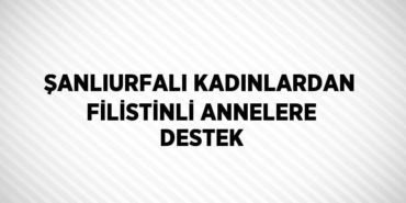 31390282552787926196tasarimli