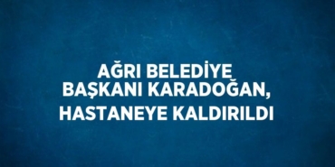 31390311632297723628tasarimli