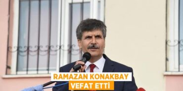 31392243933152131493tasarimli