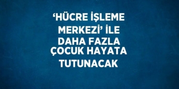 31394295073078223112tasarimli