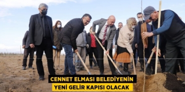 31395247582064522361tasarimli