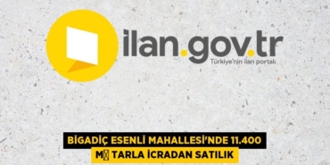 31395299253132120003tasarimli