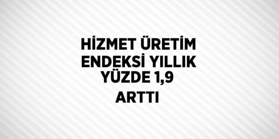 HİZMET ÜRETİM ENDEKSİ YILLIK YÜZDE 1,9 ARTTI