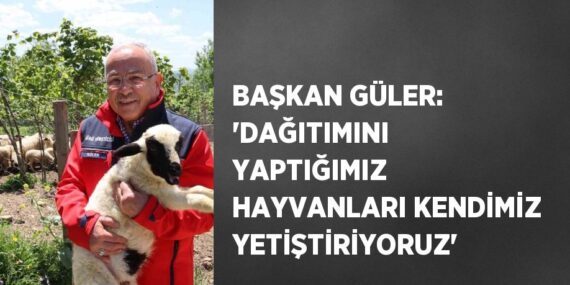 BAŞKAN GÜLER: ‘DAĞITIMINI YAPTIĞIMIZ HAYVANLARI KENDİMİZ YETİŞTİRİYORUZ’