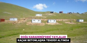 31402251462270325295tasarimli