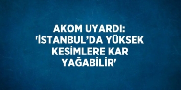 31403260392844125815tasarimli
