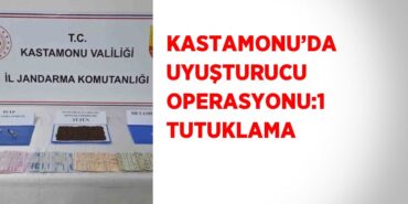 31405302032544328102