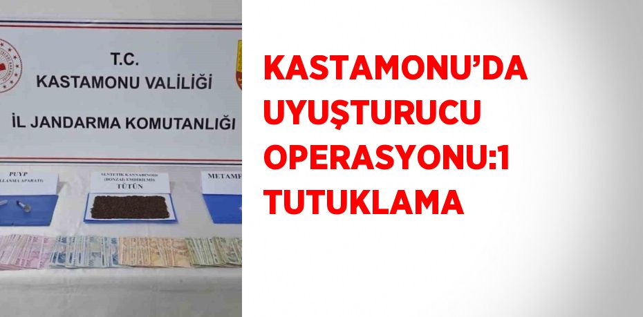 31405302032544328102