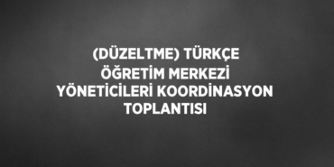 31411265642576423851tasarimli