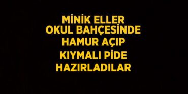 31412230162635922834tasarimli