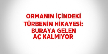 31413266972612731483tasarimli