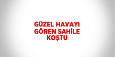 31419298482784931394tasarimli