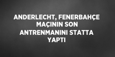 31423265612152421422tasarimli