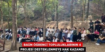 31434244782381327565tasarimli