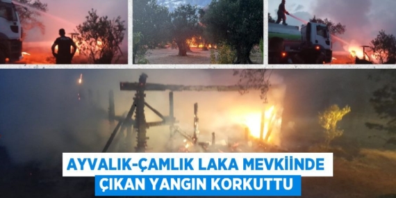 AYVALIK-ÇAMLIK LAKA MEVKİİNDE ÇIKAN YANGIN KORKUTTU