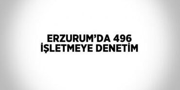 31439269842716125762tasarimli