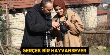 31440228052173026947