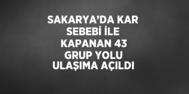 31442209952909527520tasarimli