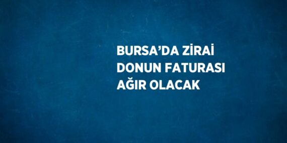BURSA’DA ZİRAİ DONUN FATURASI AĞIR OLACAK