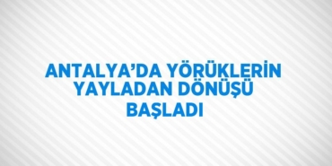 31445231252324222151tasarimli