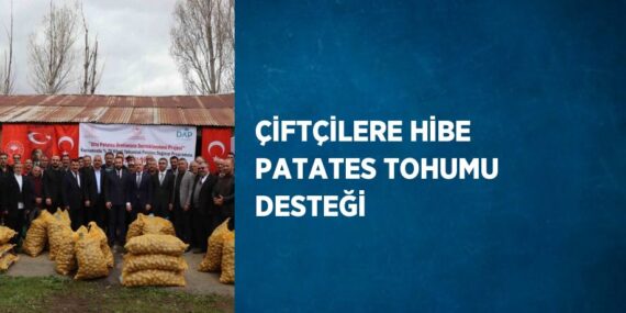 ÇİFTÇİLERE HİBE PATATES TOHUMU DESTEĞİ
