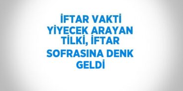 31445256093101923596tasarimli