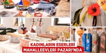 31446289322401824518tasarimli