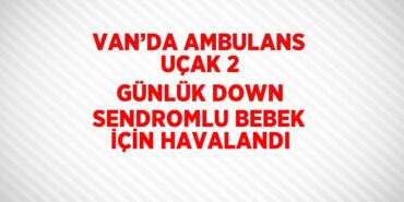 31447273862834428535tasarimli