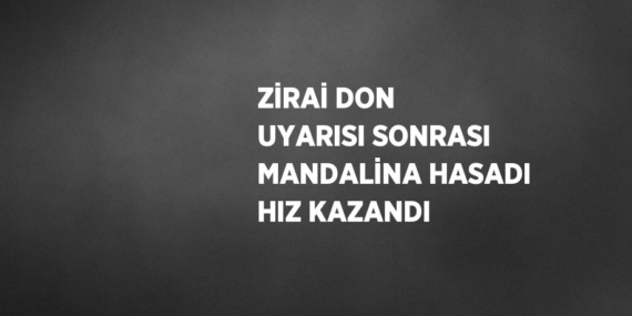 ZİRAİ DON UYARISI SONRASI MANDALİNA HASADI HIZ KAZANDI