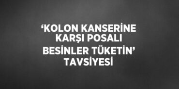 31451202542993829792tasarimli