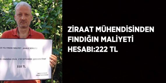 ZİRAAT MÜHENDİSİNDEN FINDIĞIN MALİYETİ HESABI:222 TL