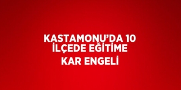 31457213162784830004tasarimli