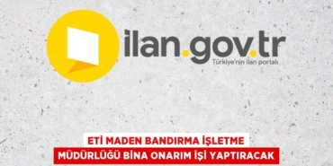 31459242762675120507tasarimli