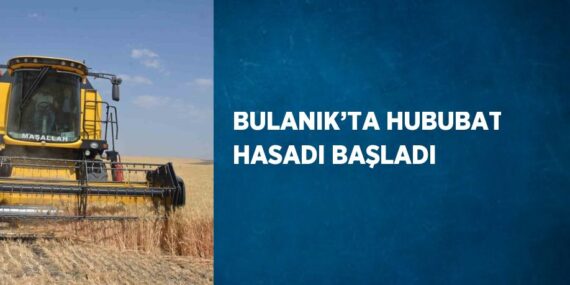 BULANIK’TA HUBUBAT HASADI BAŞLADI