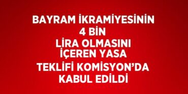 31459260953181325204tasarimli
